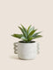 Artificial Aloe Vera Plant in Concrete Pot